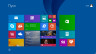 Microsoft Windows 8.1 Professional (x32/x64) 